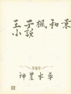王子枫和袁雯洁小说