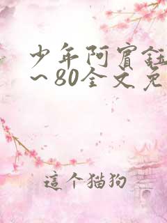 少年阿宾钰慧1～80全文免费