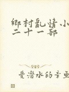 乡村乱情小雷第二十一部
