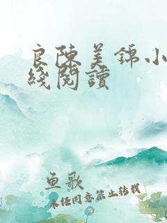 良陈美锦小说在线阅读