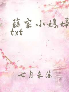 薛家小媳妇小说txt