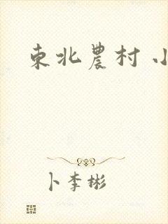 东北农村 小说