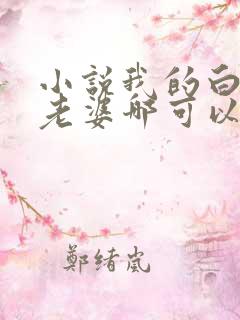 小说我的白富美老婆哪可以找到