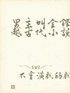 男主叫金锋的穿越古代小说