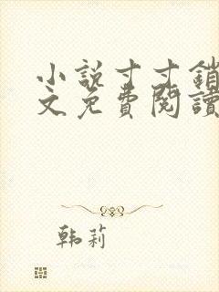 小说寸寸销魂全文免费阅读