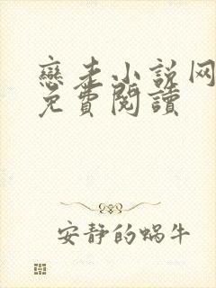 恋老小说网言情免费阅读