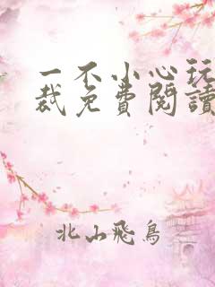一不小心玩坏总裁免费阅读