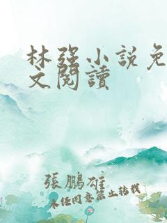 林强小说免费全文阅读