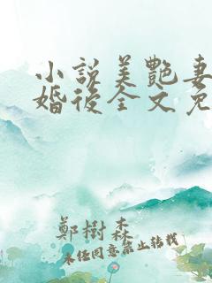小说美艳妻子离婚后全文免费阅读