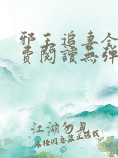 邪王追妻全文免费阅读无弹窗