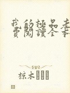 我的极品老婆免费阅读全本