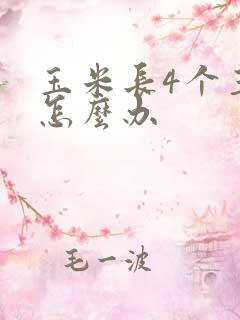 玉米长4个玉米怎么办