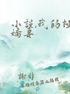 小说,我的极品娇妻