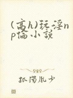(高h)玩淫np伦小说