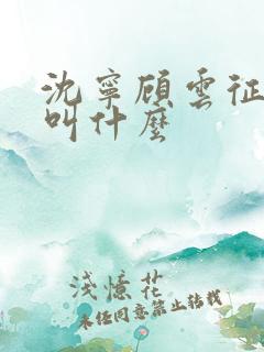 沈宁顾云征短剧叫什么