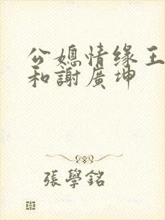 公媳情缘王小蒙和谢广坤