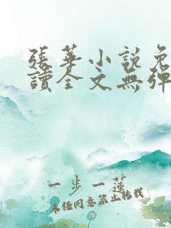 张华小说免费阅读全文无弹窗