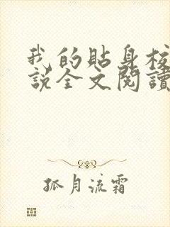 我的贴身校花小说全文阅读免费