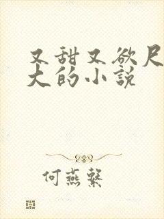又甜又欲尺度又大的小说