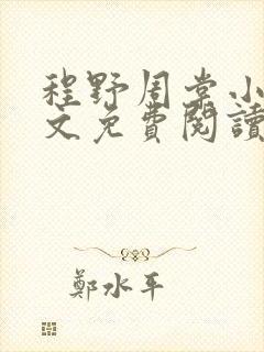 程野周棠小说全文免费阅读