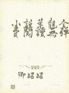 小说叶观全文免费阅读无弹窗