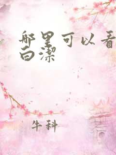 哪里可以看少妇白洁