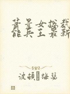 萧晨女总裁的全能兵王最新