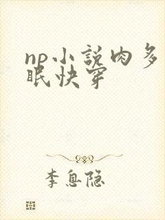 np小说肉多催眠快穿