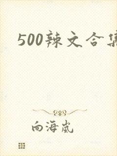 500辣文合集