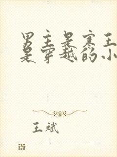 男主是寒王女主是穿越的小说