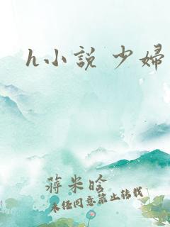 h小说 少妇