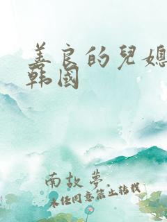 善良的儿媳妇们韩国