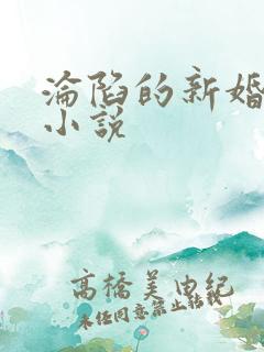 沦陷的新婚少妇小说