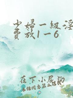 少妇一级淫片免费放1一6