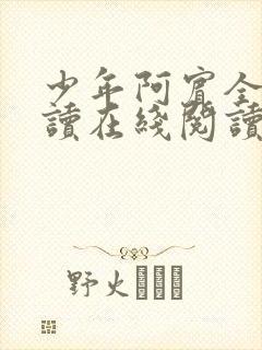 少年阿宾全文阅读在线阅读全文第一季