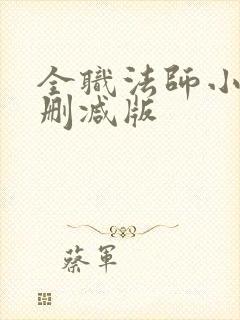 全职法师小说无删减版