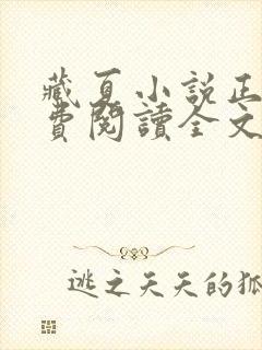 藏夏小说正版免费阅读全文无弹窗