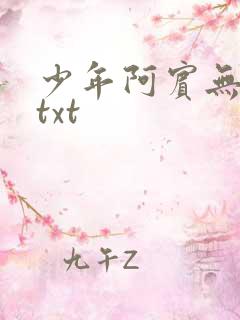 少年阿宾无删减txt