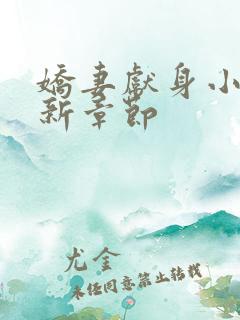 娇妻献身小说最新章节
