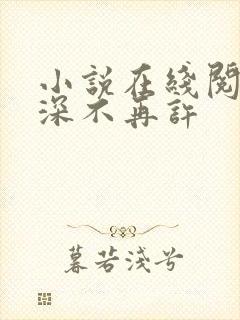 小说在线阅读情深不再许