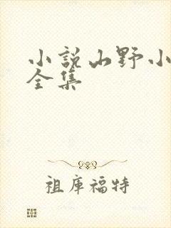 小说山野小傻医全集