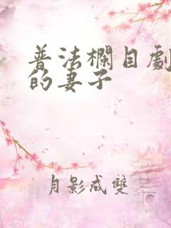 普法栏目剧消失的妻子