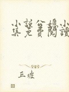 小说公媳小说合集免费阅读深夜阅读全文