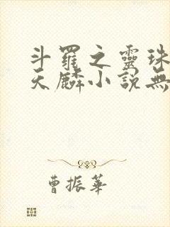 斗罗之灵珠神剑天麟小说无弹窗