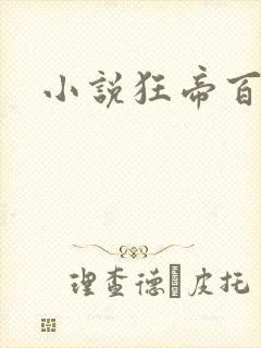 小说狂帝百美缘
