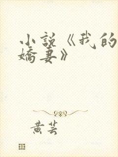 小说《我的倾城娇妻》