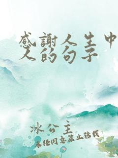 感谢人生中的贵人的句子