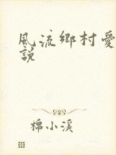 风流乡村爱情小说