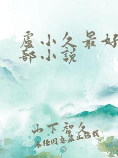 卢小久最好的十部小说