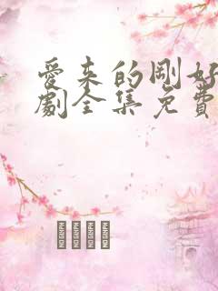 爱来的刚好电视剧全集免费